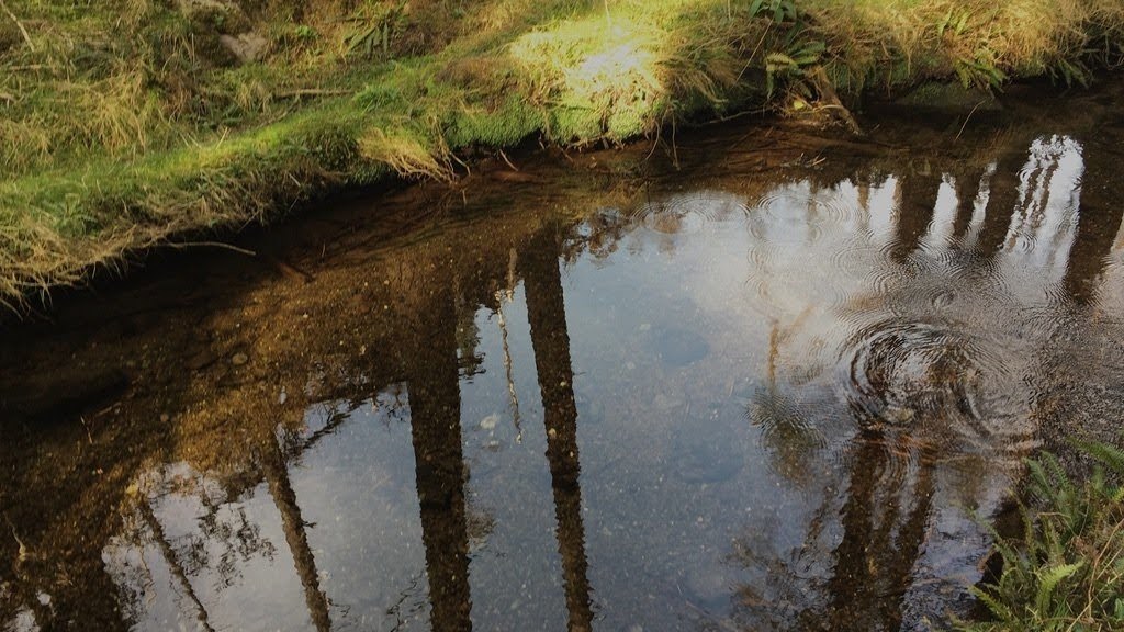 ripples