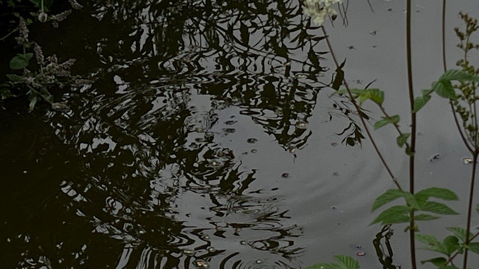 Themes of distant yet frequent death and subsequent unsettling grief
