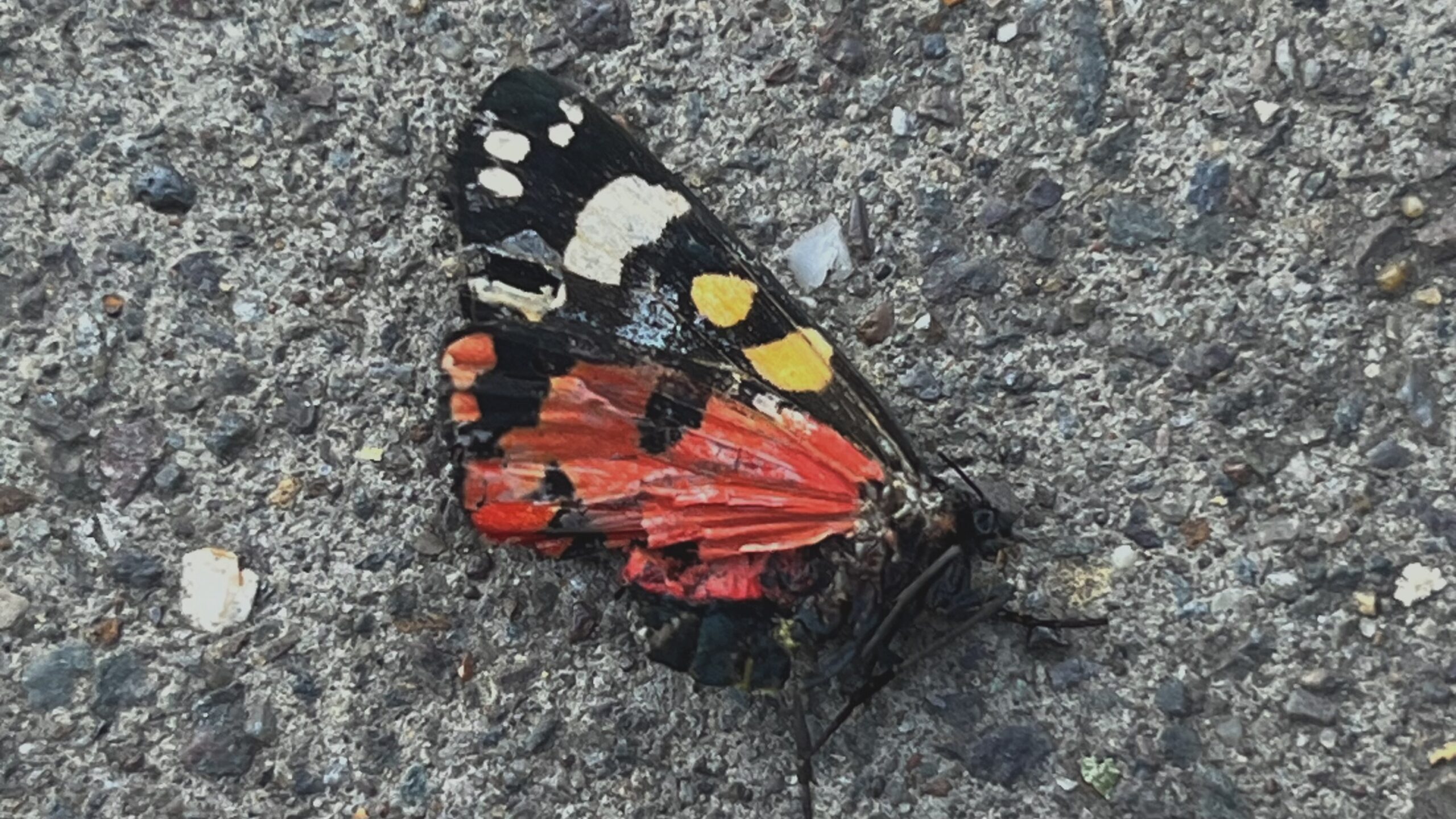 I know, I know, I know